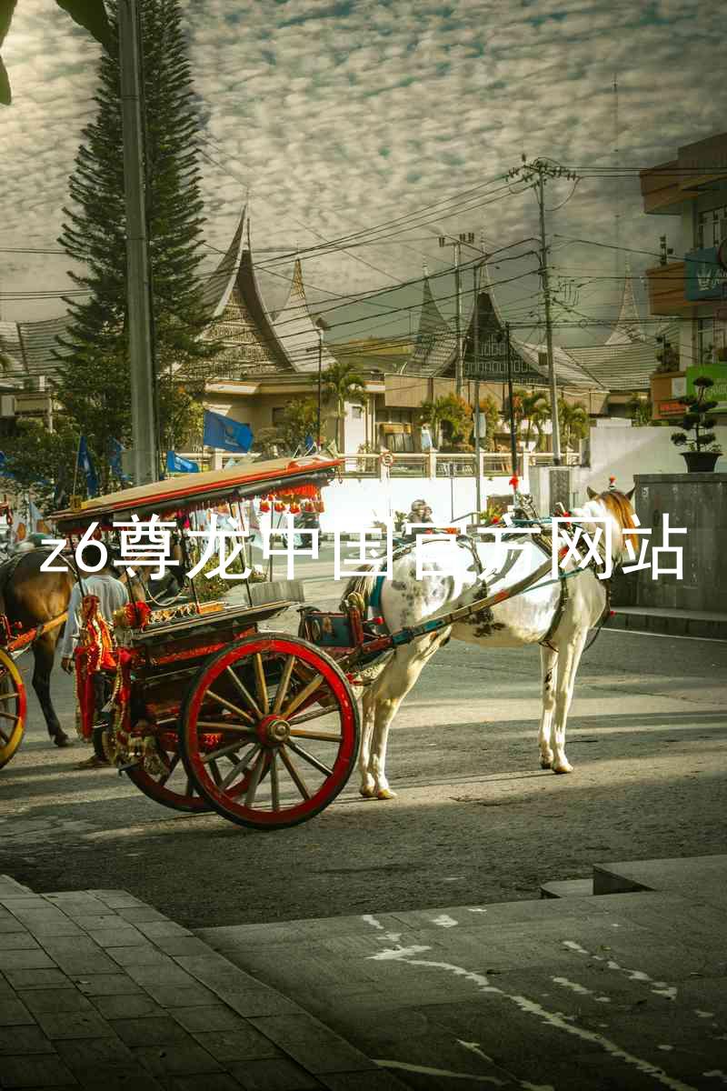 z6尊龙中国官方网站