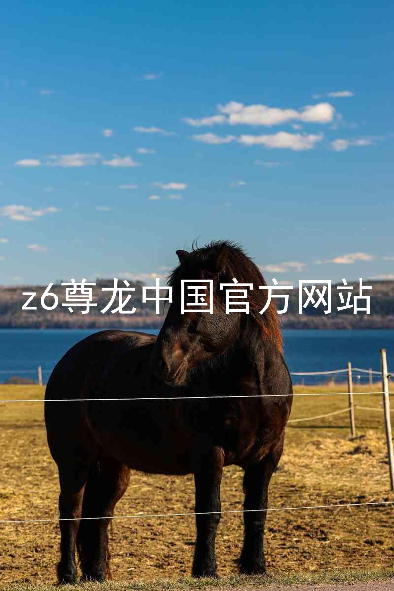 z6尊龙中国官方网站