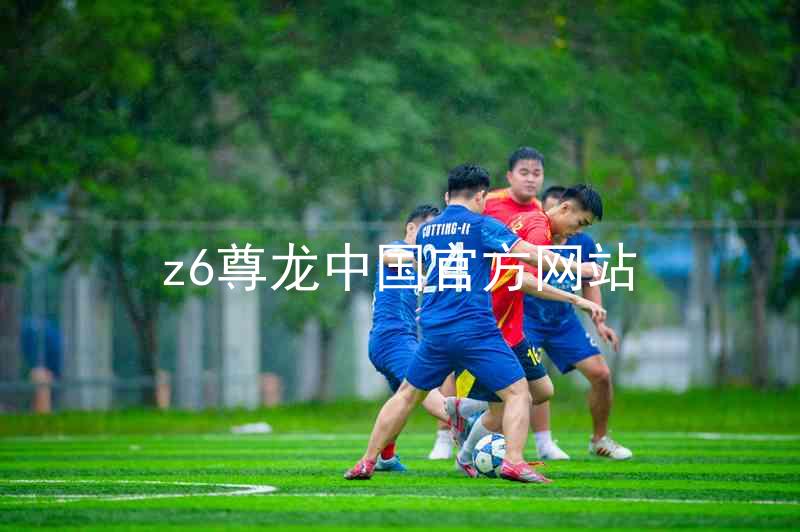 z6尊龙中国官方网站